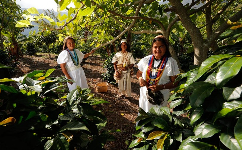 Juan Valdez® Gourmet Single Origin Coffee – Sierra Nevada